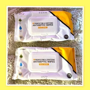 Miami CarryOn Disinfecting & Sanitizing Antiseptic Wipes ~ Bundle of (2)